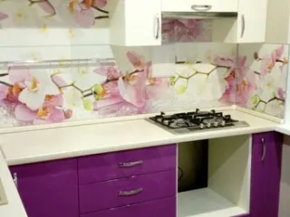 Хона духового шкафа со скинали