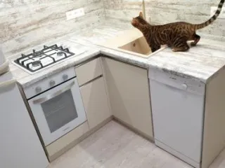 Маленькая бежевая мебель для кухни с отдельно стоящей посудомойкой
